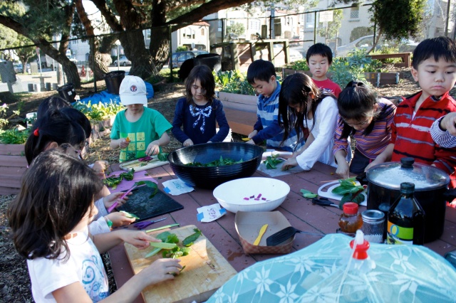 2nd Graders Cutting Their Own Harvest