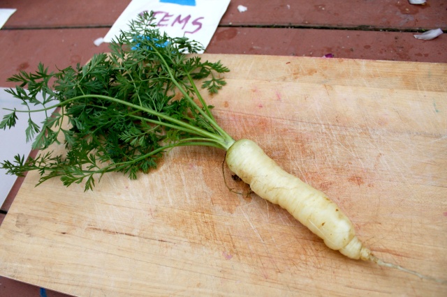 Trying Garden Carrots
